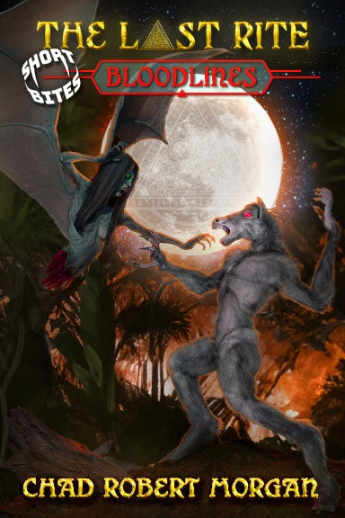 Book Cover Variant Thumbnail